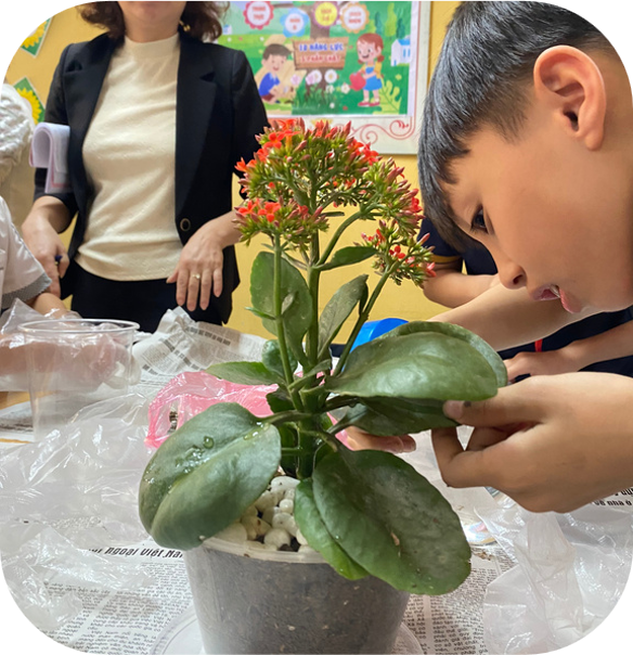 植物がどのように水を吸収するか実験
